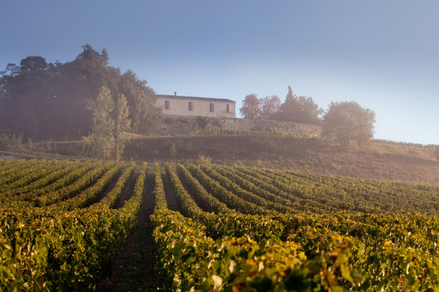 Scenic view of Château Quintus.