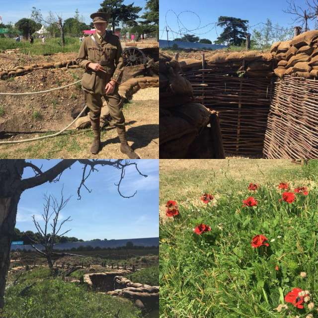 'Battlefields to Butterflies' by Todd Longstaffe-Gowan