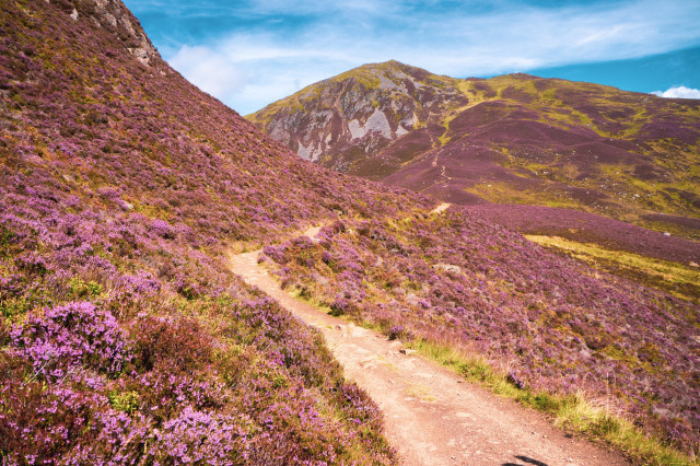 Cairngorms National Park