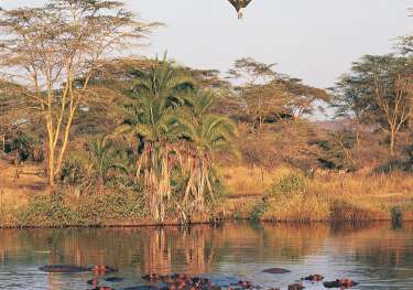 Balloon safari.