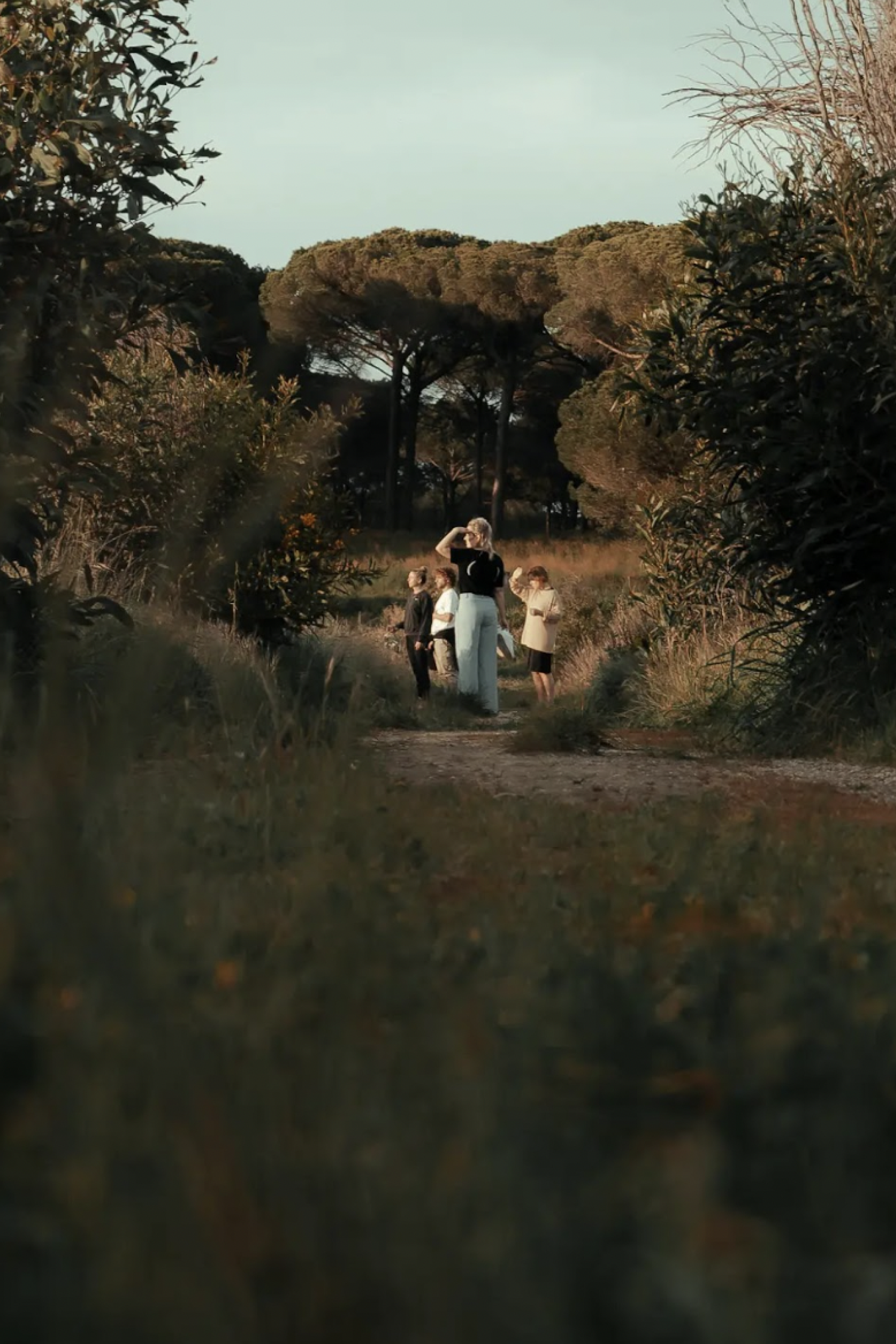 Woman and children walking on wooded path.