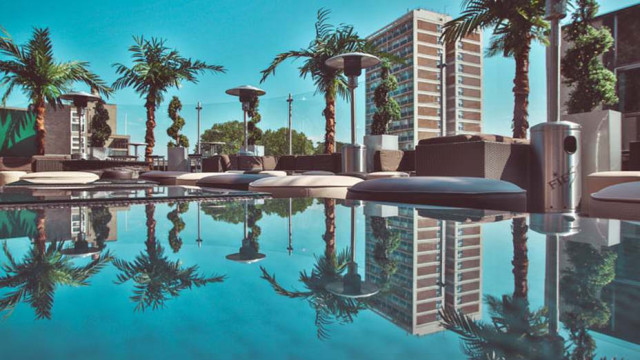 Palm trees stand reflected in a pool, surrounded by lounge chairs