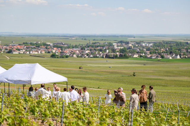 Gathering under canopy in vineyard.
