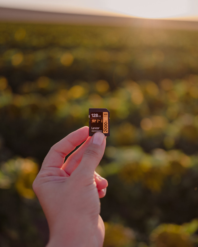 Hand holding a Lexar 128GB SD card in a sunlit field.