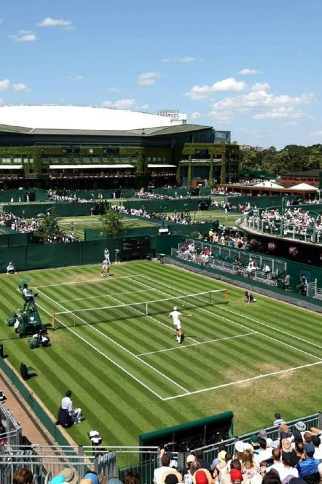 2023-wimbledon-courts-general.jpeg