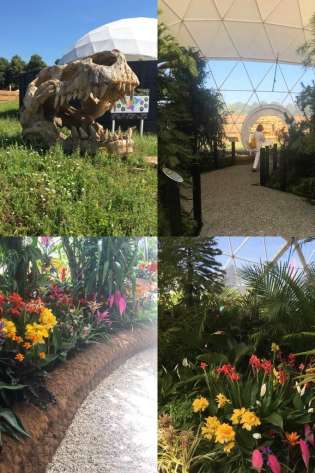 4 pictures of rhs.