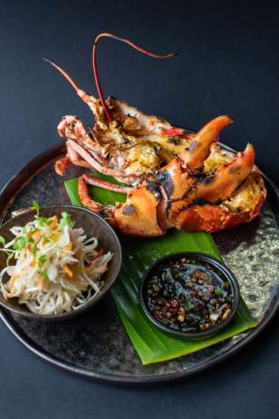 Lobster Kasa and Kin.