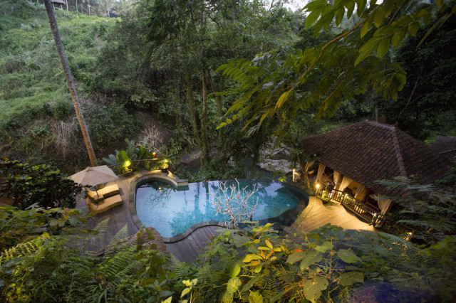 A kidney-shaped pool is surrounded by lush greenery, with a wooden deck, a thatched gazebo, and tropical plants, creating a serene, secluded jungle retreat vibe