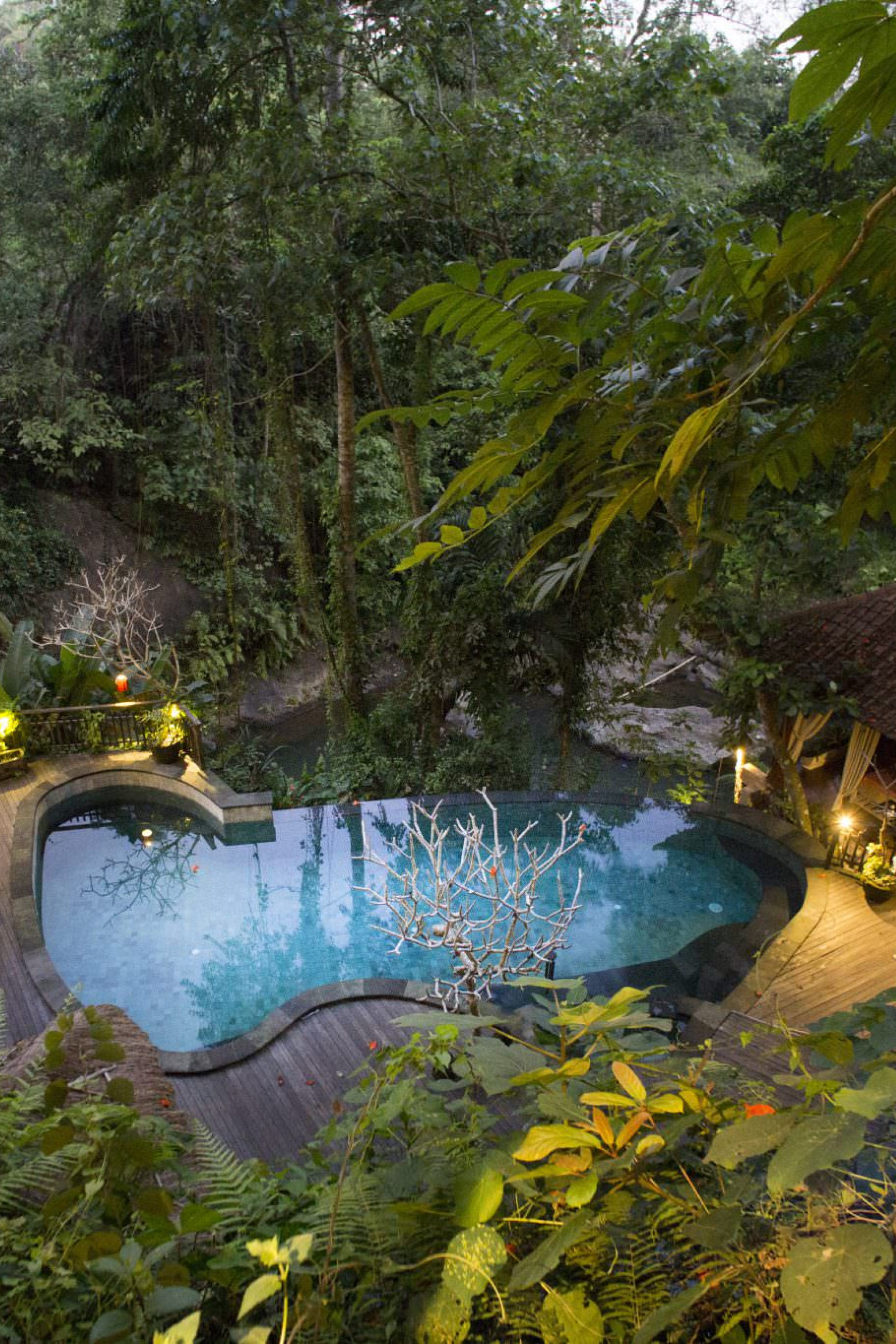 A kidney-shaped pool is surrounded by lush greenery, with a wooden deck, a thatched gazebo, and tropical plants, creating a serene, secluded jungle retreat vibe