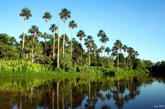 © Rio Life Personalize Tours
