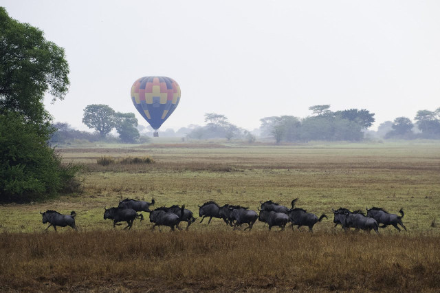 © Wilderness Safaris Dana Allen