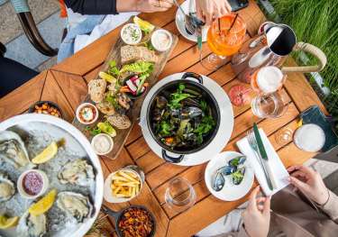 Aster_terrace_142_86791.