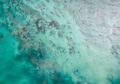 Close-up of the ocean.