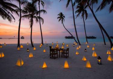 Glm_dine under the stars_ at palm beach.