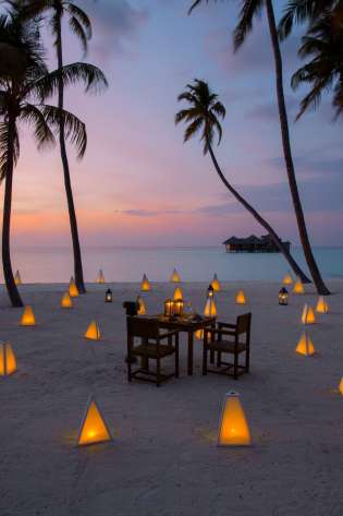 Glm_dine under the stars_ at palm beach.