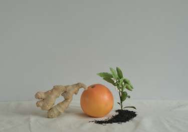 Lipr   ffern, autumn 22. photographer kednal noctor (11).