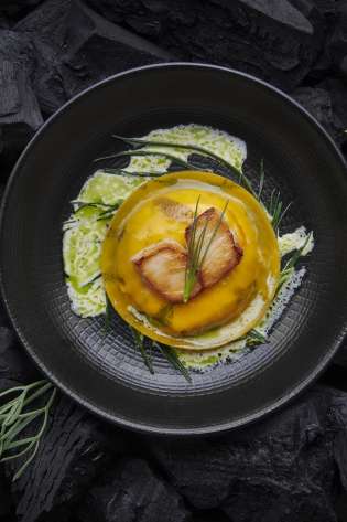 Magenta1529 1664536782.