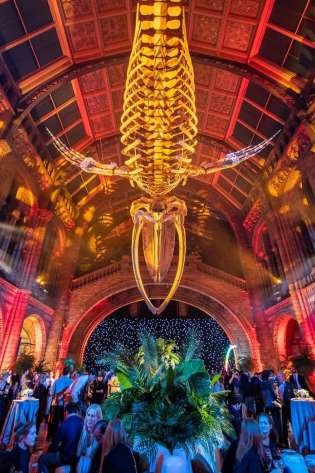 Natural history musuem.