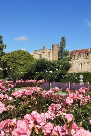 Rose garden penshurst place (1).