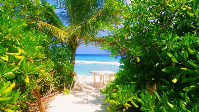 Ultimate privacy in front of your beach bubble