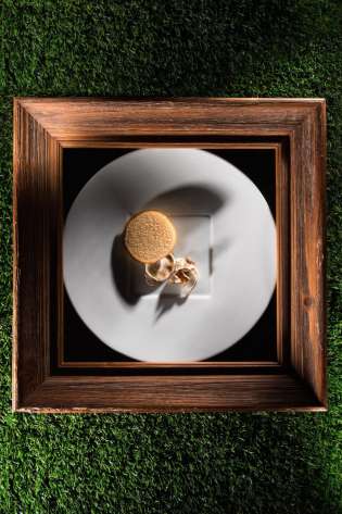 Uv food mushrooms light textures photo scott wright copy.