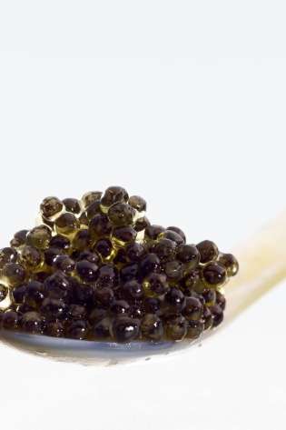 Vivace kaviar zuerich 3.