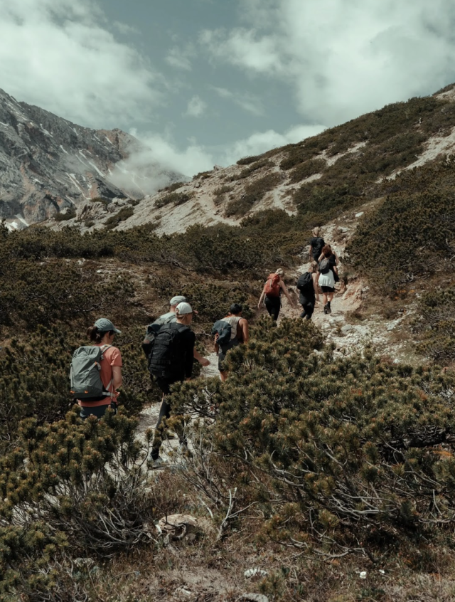 Hikers ascend mountain trail.