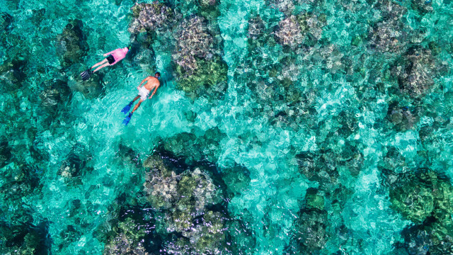 Snorkelling in The Seychelles 