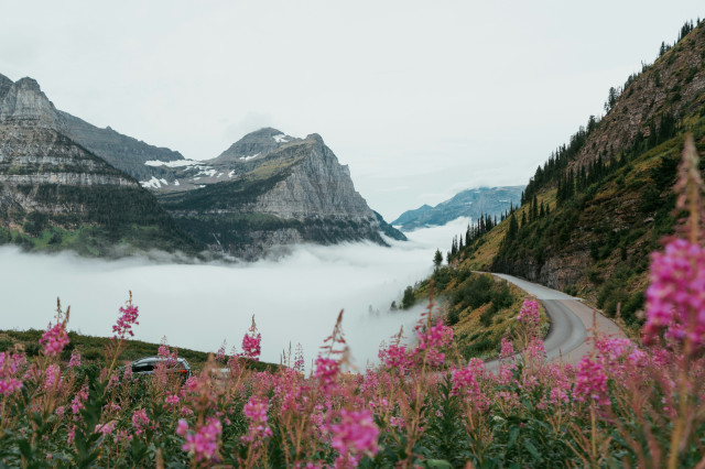 West Glacier, Going-to-the-Sun road